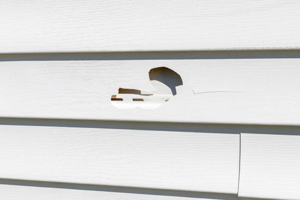 Affordable siding repair and maintenance services in Lemoore, CA